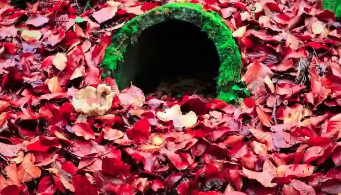 Sewer solutions
